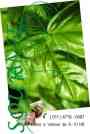 VIANDAS LIGHT DESDE 150 CALORIAS