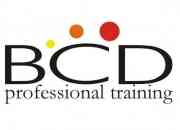 Bcd professional training segunda mano  Argentina 