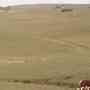 vendo campos en uruguay
