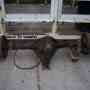 VENDO diferencial de ford 350