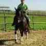 cursos equus curos de caballos buenos aires