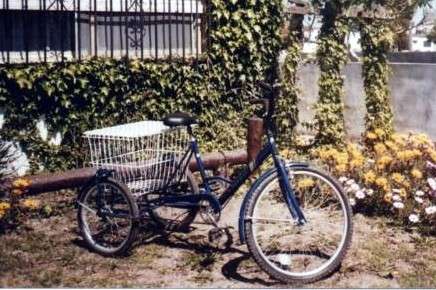 bicicleta de 3 ruedas con canasto