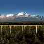 Country del Vino, Polo & Golf en Tupungato Mendoza, Tupungato Winelands