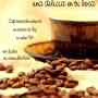 VENTA DE CAFE EN GRANOS