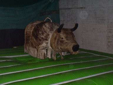 Vendo toro mecánico para eventos