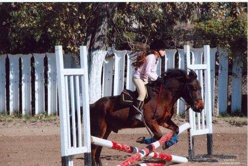 Clases de equitacion, salto, polo o paseos a caballo
