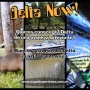 DeltaNow Tour - Tour delta tigre - Paseo en lancha en el Tigre - Exped Experience