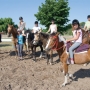 Clases de Equitacion.. salto, adiestramiento y paseo