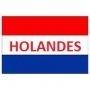 HOLANDES: CLASES CURSOS DE HOLANDES EN PALERMO CON PROFESORA NATIVA HOLANDESA, LECCIONES DE HOLANDES EN BUENOS AIRES PALERMO RECOLETA