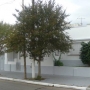 alquilo hermosa casa en bernal barrio parque 2.900 $