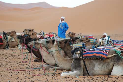Excursiones en el desierto, marruecos