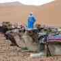 Excursiones en el desierto, Marruecos