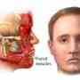 Kinesiología, tratamiento y rehabilitación de la parálisis facial. Kinesiólogo UBA