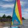 CATAMARANES Y VELEROS RECREATIVOS Y COMPETITIVOS