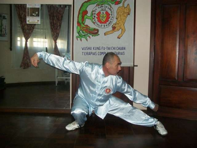 Clases de arte marcial: clases de wushu kung fu - tai chi chuan - chi kung - defensa personal: particular o grupal.