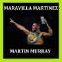 Entrada Maravilla Martinez vs. Murray PLATEA VIP platino Fila 20