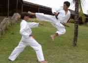Las mejores artes marciales para aprender defensa personal