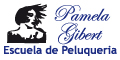 Escuela de peluqueria - pamela gibert segunda mano  Argentina 