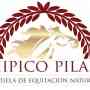 Clases Polo y Equitación en HIPICO PILAR!!