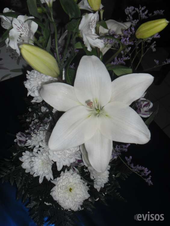 Venta de flores naturales arreglos especiales en Villa Allende - Otros  Servicios | 972891