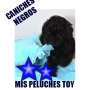 CANICHES TOY ZONA NORTE