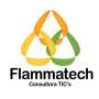 Flammatech Consultora TICs