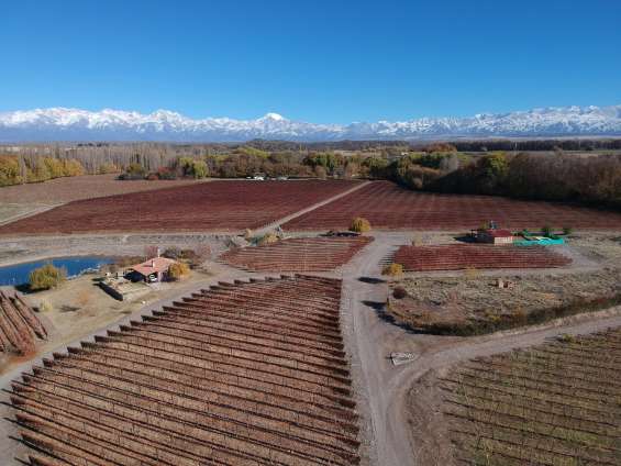 Cabaña del alto san jose tupungato mendoza alquiler turistico y vinos