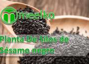 Meelko planta de silos de sesamo negro, usado segunda mano  Argentina 